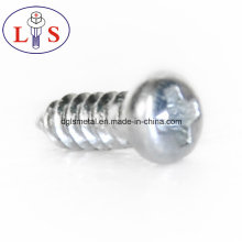 Carbon Steel Screws with Zinc Plated